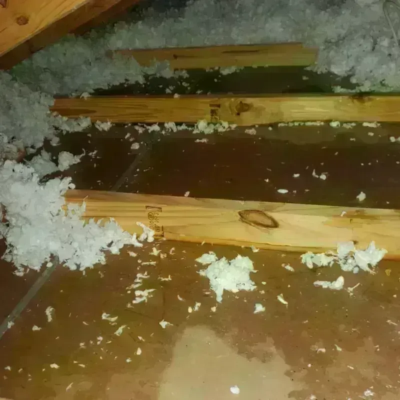 Attic Water Damage in West Gulfport, MS