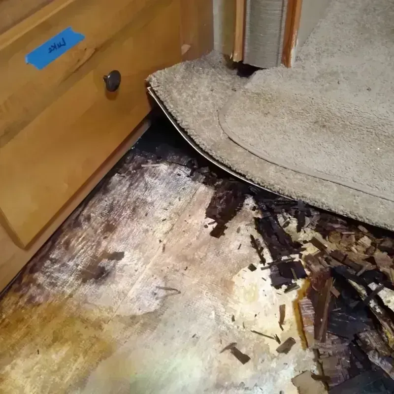 Wood Floor Water Damage in West Gulfport, MS